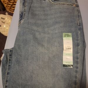 Terra & Sky Women's Skinny Jeans - Light Blue